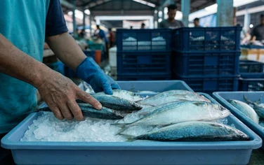 Ilustrasi AI perdagangan dan penanganan ikan laut