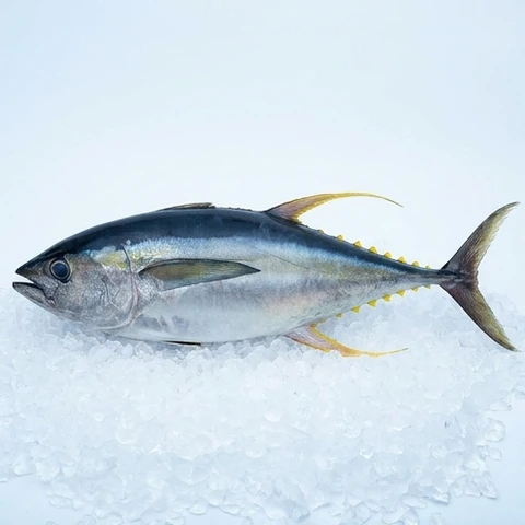 Ilustrasi AI Tuna