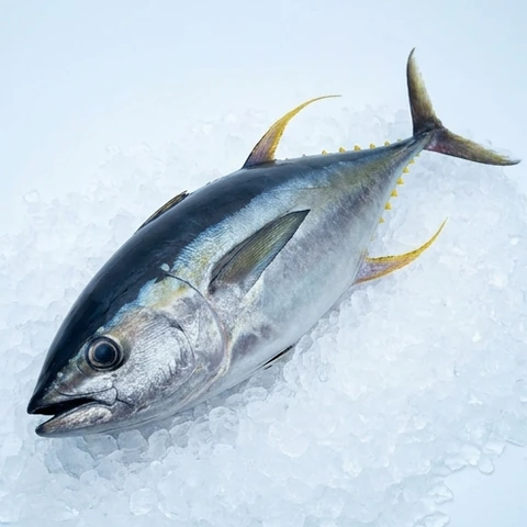 Ilustrasi AI tuna — Sudut alternatif